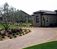 Landscape Installation