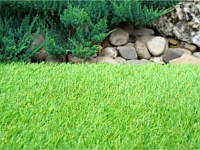 Synthetic Turf