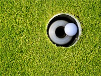 Synthetic Turf